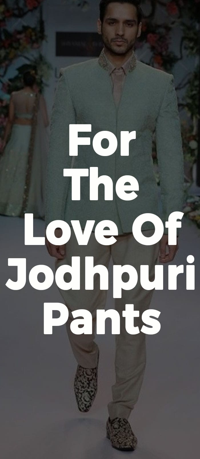 For The Love Of Jodhpuri Pants