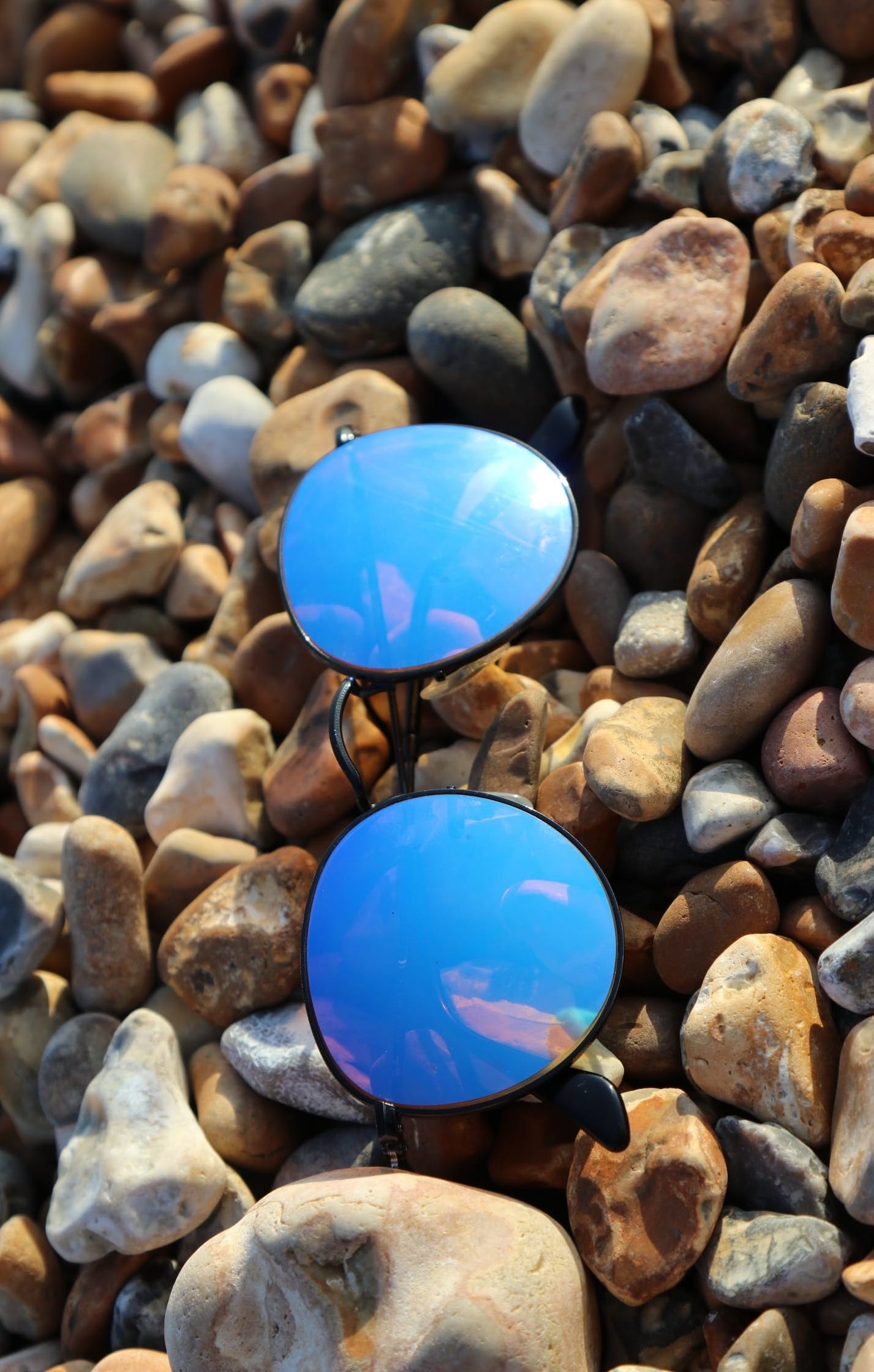 colourful round frame sunglass