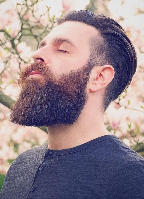 classic beard