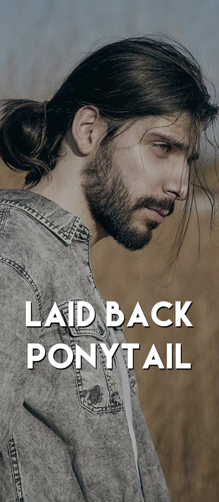 Laid Back Ponytails Hairstyle