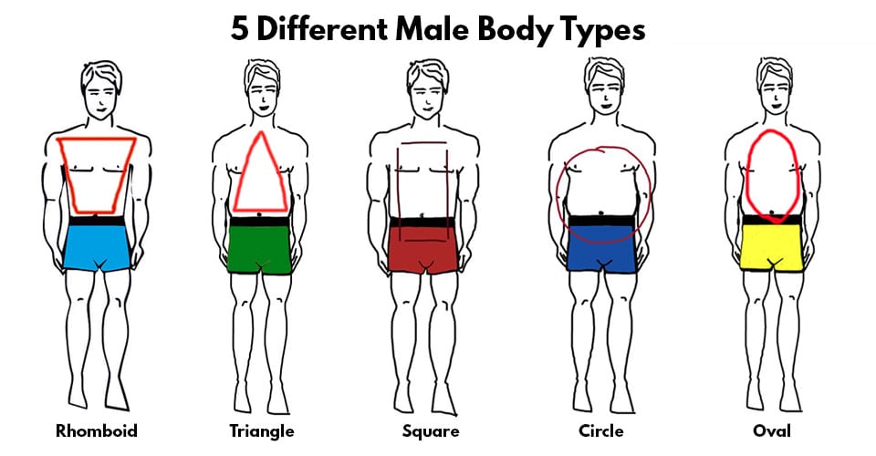 5-Different-Male-Body-Types
