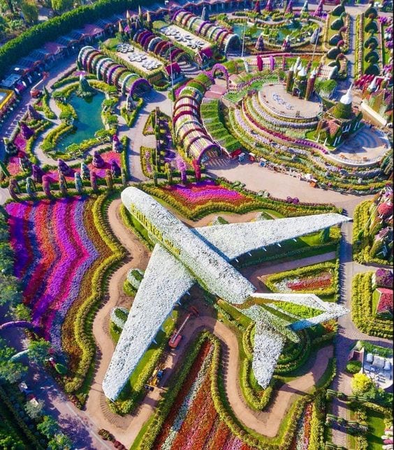 Dubai miracle garden tickets & online booking