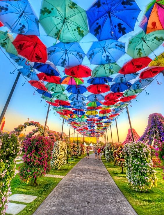 Miracle Garden TIming dubai