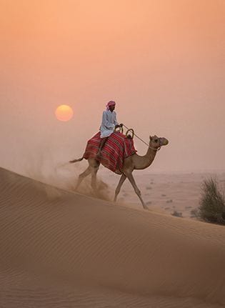 camel ride dubai desert safari