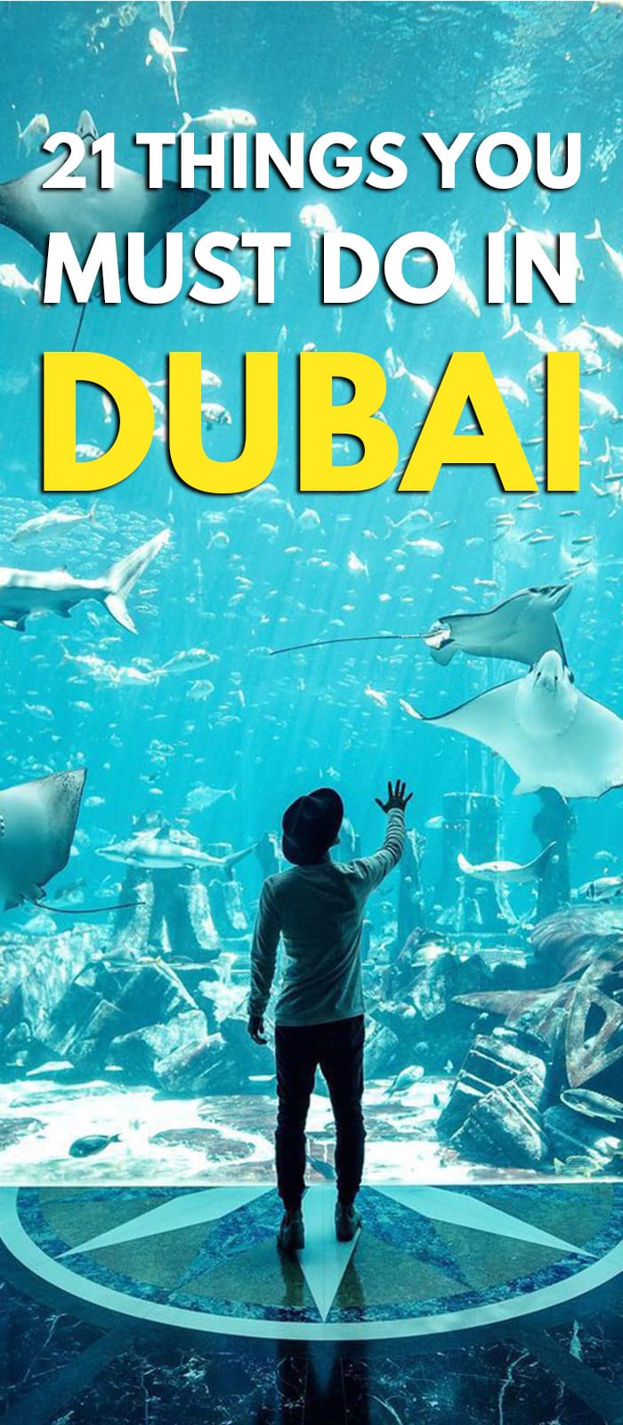 dubai mall aquarium - entry fees online booking package