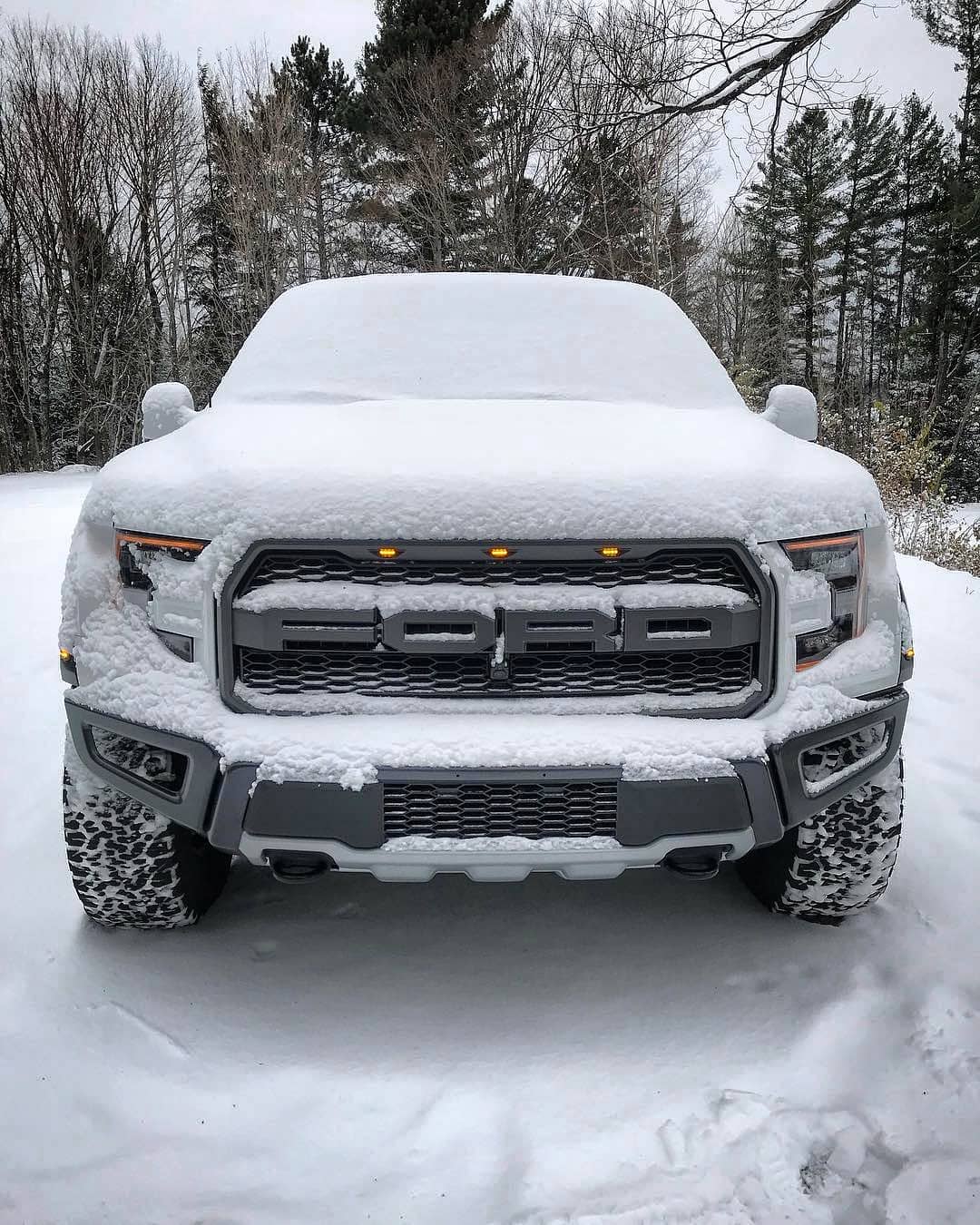 FORD F150 WHITE SNOW