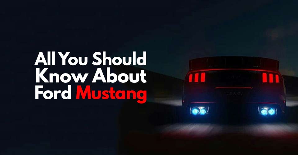 All You Should Know About MUSTANG!