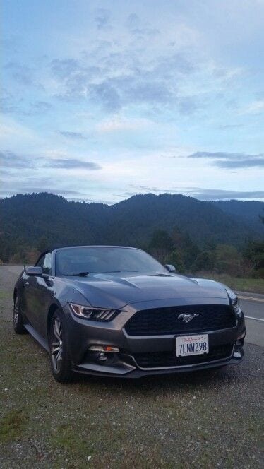 FORD MUSTANG