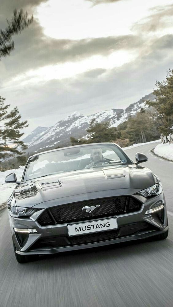 GREY MUSTANG ON THE STREET