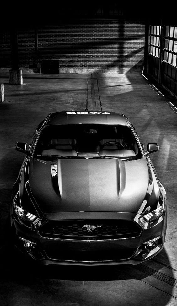 MUSTANG GREY WALLPAPER