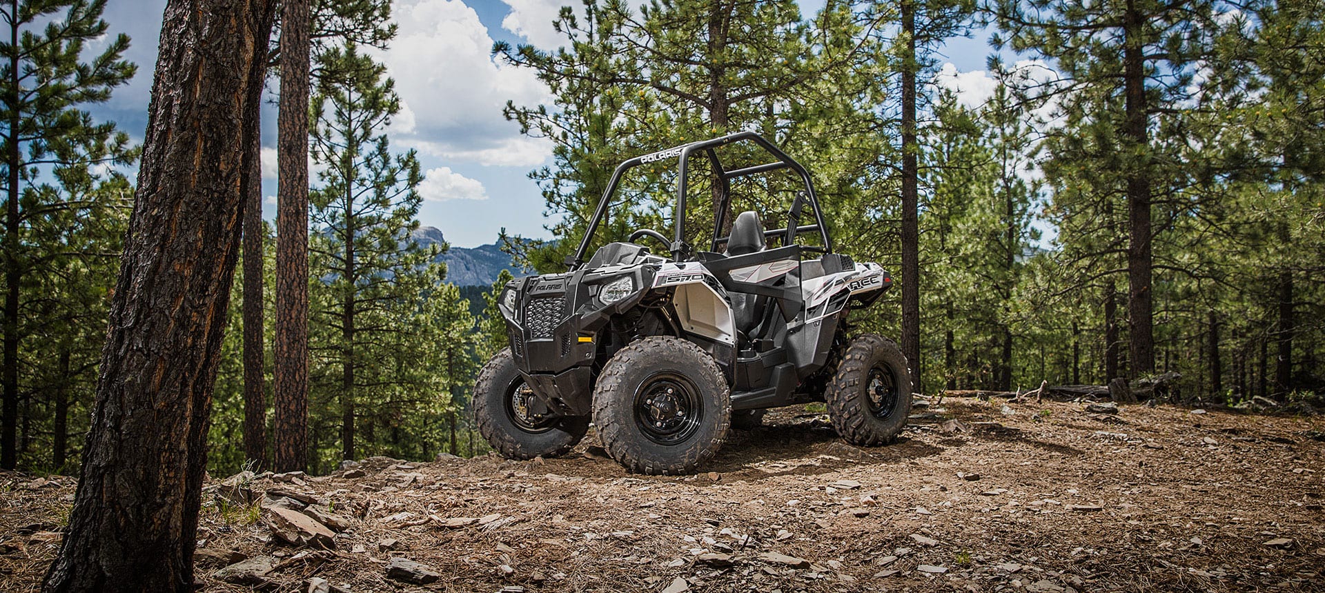 POLARIS ACE 570 EPS