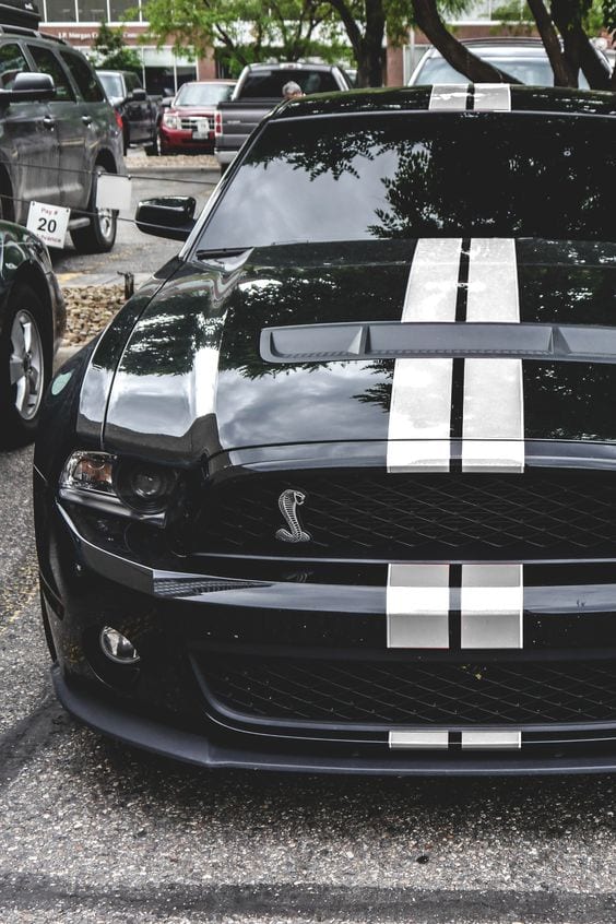 Shelby GT500 MUSTANG