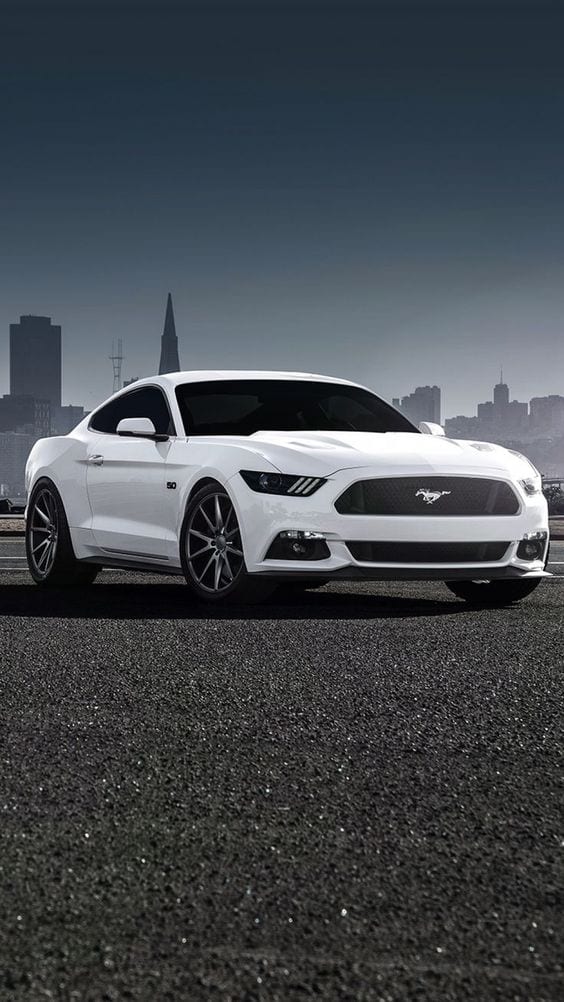 WHITE MUSTANG SPORTS