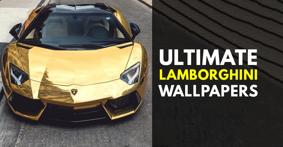 LAMBORGHINI GOLD CHROME!