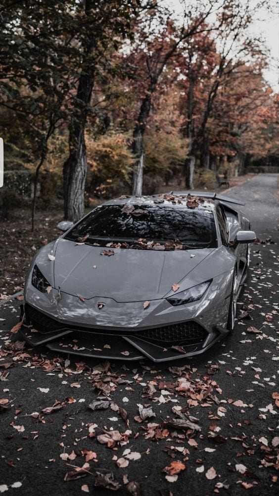 LAMBORGHINI GREY