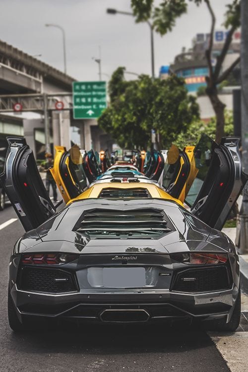 LAMBORGHINI OPEN DOORS