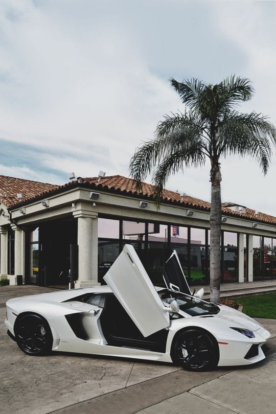 LAMBORGHINI WHITE