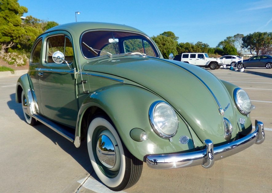 Volkswagen Beetle- Classic Vintage Cars