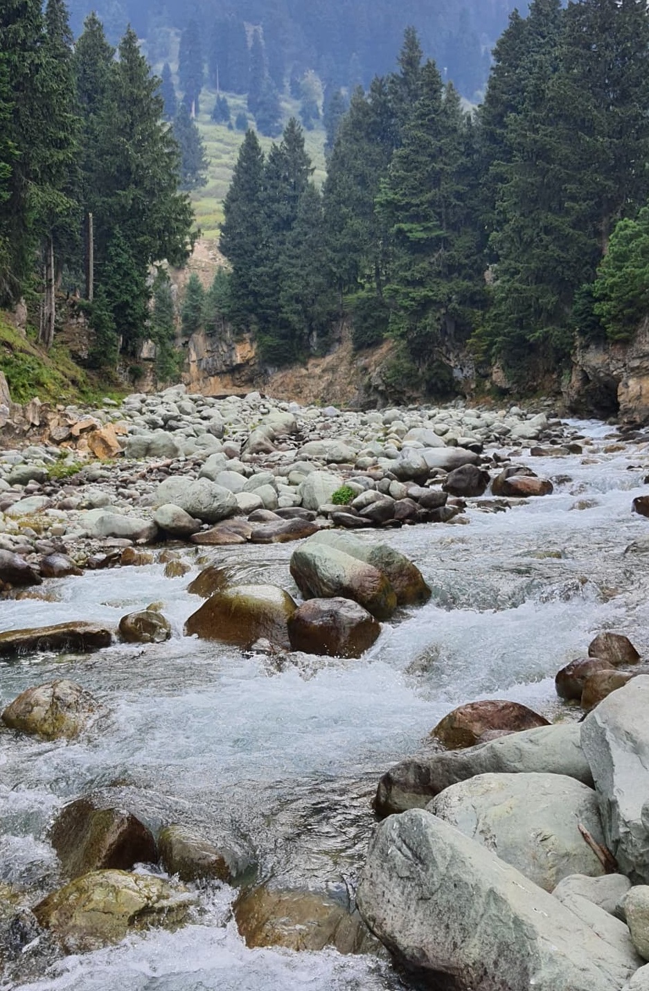 Doodhpathri, Kashmir - A Hidden gem that is out of tourist touch