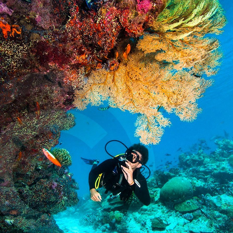 The Best Scuba Diving expereince