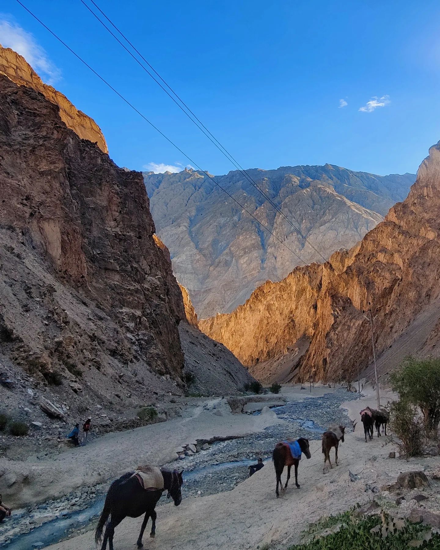 Markha Valley Trek