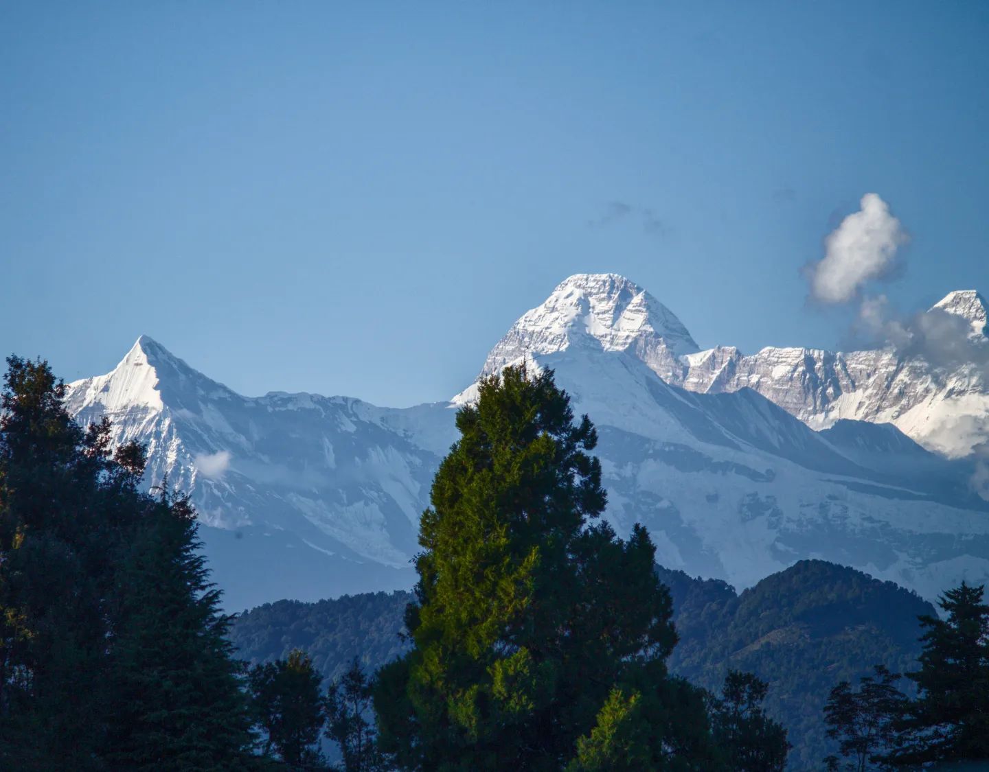 Nanda Devi East BC trek and Milam glacier