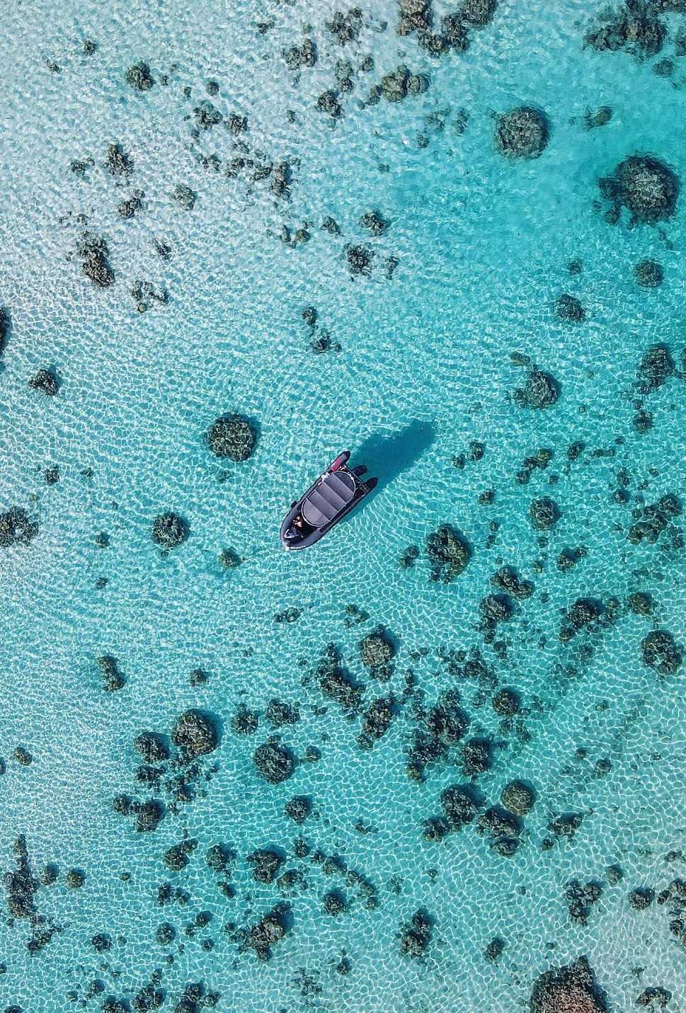 Moorea, French Polynesia.